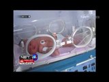 NET24 - Seorang wanita di Cina melahirkan bayi berbobot 6,25 Kg