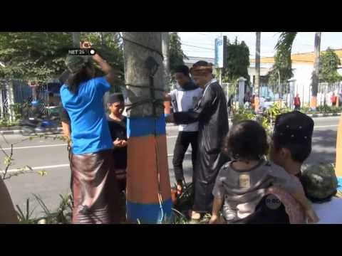 NET24-Paku Sisa Pemasangan Alat Peraga Kampanye Banyak Tertinggal di Batang Pohon