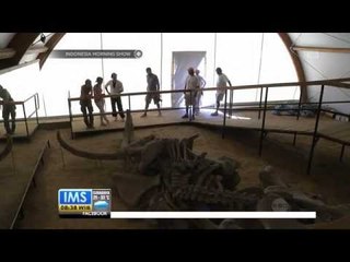IMS-Kerangka Mamot Betina Berumur 1 Juta Tahun di Serbia Dipindahkan ke Lokasi Lebih Aman