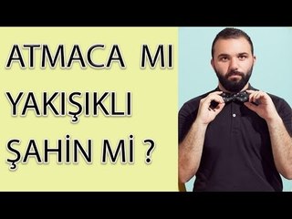 HAYATTA OLMAK İSTEDİĞİN HAYVAN NEDİR?