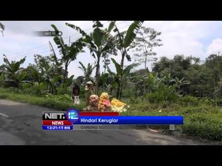 NET12 - Petani kubis di Tegal lakukan panen lebih awal