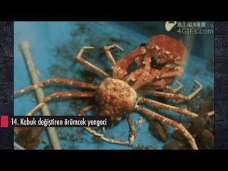 DÜNYANIN EN ENTERESAN 15 VİDEOSU