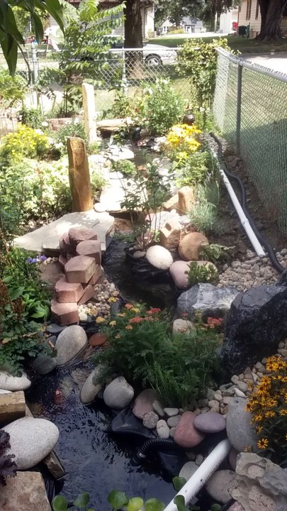 My New Creek
