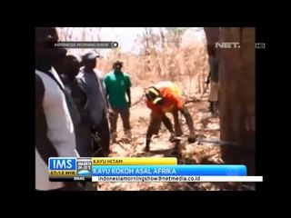 IMS - Karakteristik dan keunikan kayu di dunia