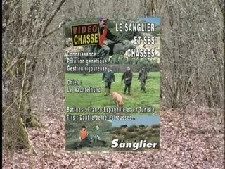 LE SANGLIER ET SES CHASSES : Connaissance gestion battues...