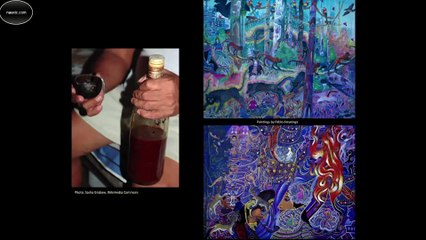 Graham Hancock - The War On Consciousness