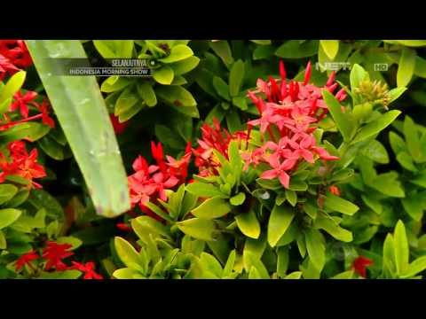 NET5 - Destinasi HUT Kota Surabaya ke 721