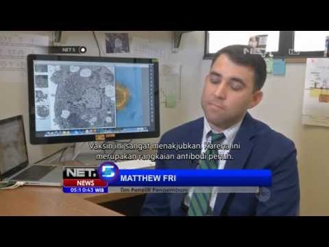 NET5 - Vaksin MERS COV Akan Diuji Coba pada Manusia