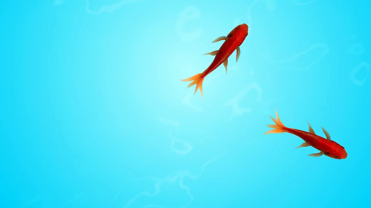 CAT GAMES - CATCHING FISH (VIDEOS FOR CATS TO WATCH)