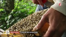 Insecticides : les apiculteurs en colère