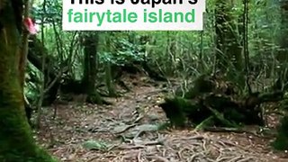 Japan's Fairy-tale Island