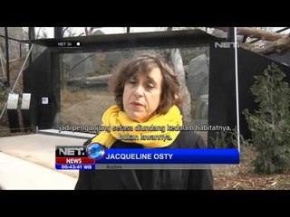 NET24 - Kebun Binatang di Paris dibuka kembali