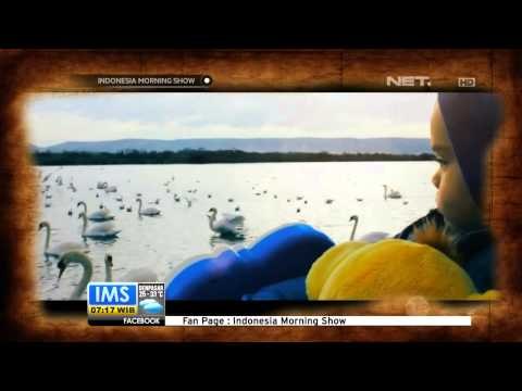 IMS - Todays History Hari Anak Internasional