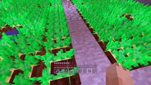 Minecraft XBOX Survival Madness - Secret Farm [405]