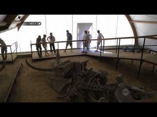 NET5 - Pemindahan kerangka Mammoth di Serbia
