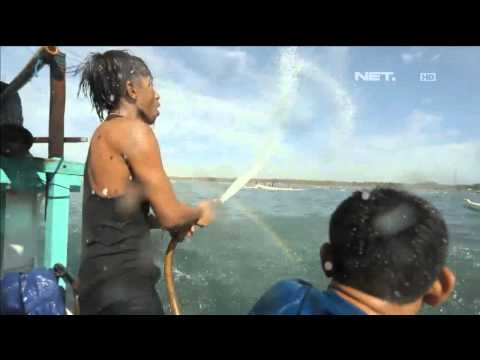 Ritual Nyelamaq di Lauq Lombok Nusa Tenggara Barat NET17