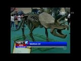 NET12 - Pameran Dinosaurus yang Tampak Nyata di Cina