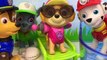 Paw Patrol Skye is Pregnant Full English Baby Puppies Surprise Skye Vomits