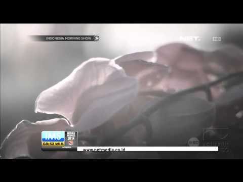 Video Clip Bunga Citra Lestari Kuasamu - IMS