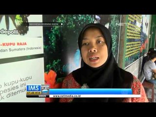 IMS - Wisata Butterfly Park di Magelang