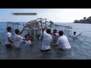 IMS - Seniman Artifisial bawah laut