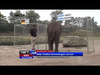 Gajah Ini Memprediksi Jerman Akan Menang Melawan Argentina -NET5