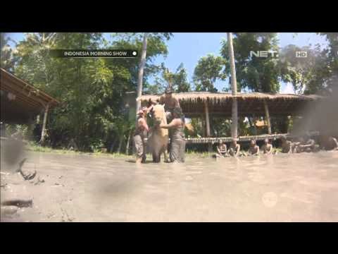 Yoga Lumpur Khas Bali Mas Febry - IMS