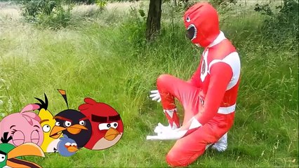 Real Life Power Rangers and Angry Birds Vs Zombies- bowser12345