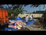 Ribuan kilogram daging celeng dimusnahkan - NET24