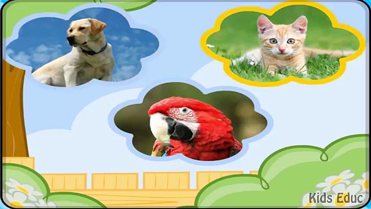 Animal Sounds, Guess The Animal By The Sound, A Fun Game For Kids