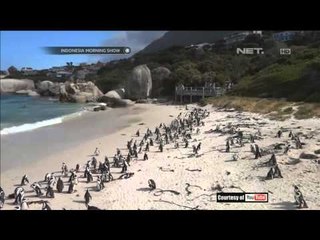 Wisata Pantai Boulders - IMS