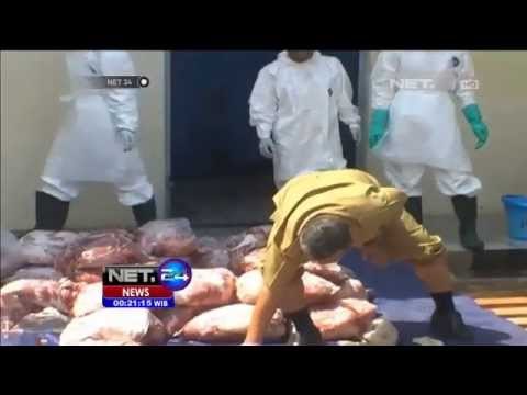 7,4 Ton daging celeng dimusnahkan pihak karantina pelabuhan merak Banten - NET24