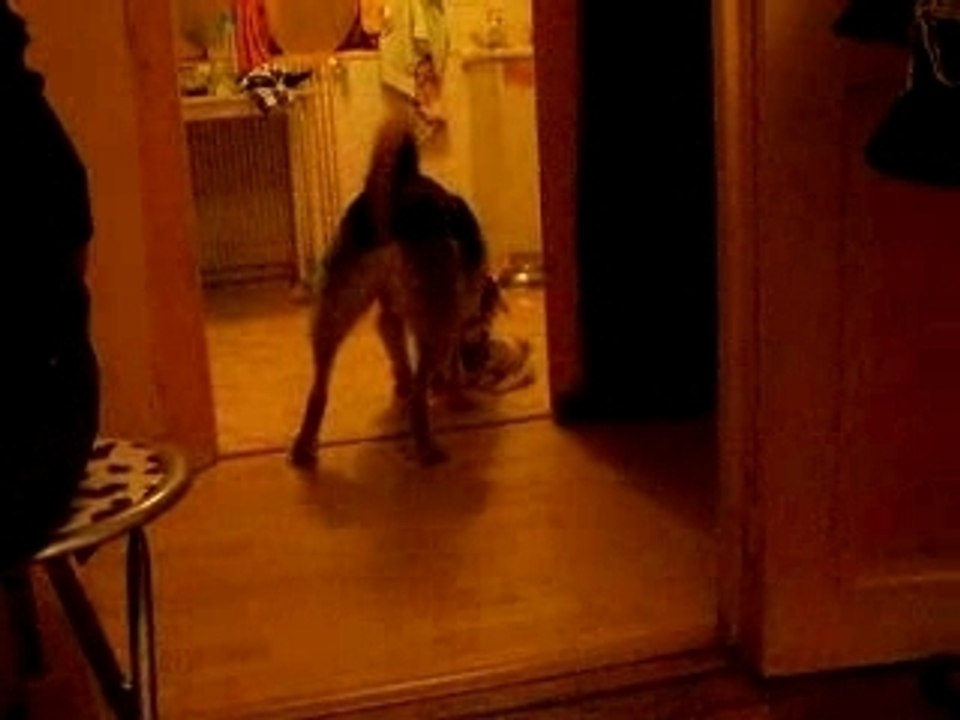 Chanel en soirée V.I.P avec ses cousins