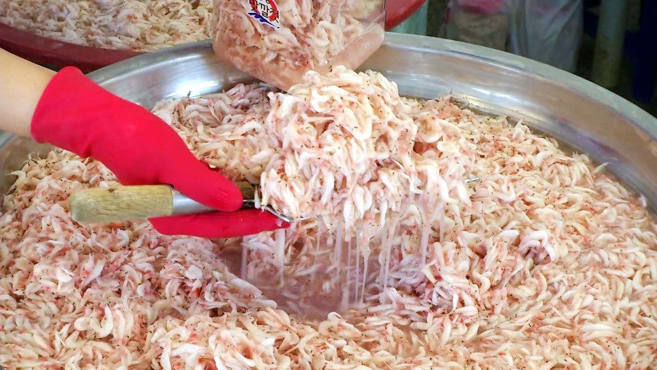 전국 최고 젓갈 맛보러 '강경포구'로 오세요! / YTN