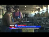 Daging Merupakan Penghasil Utama Emisi Gas Berbahaya -NET17