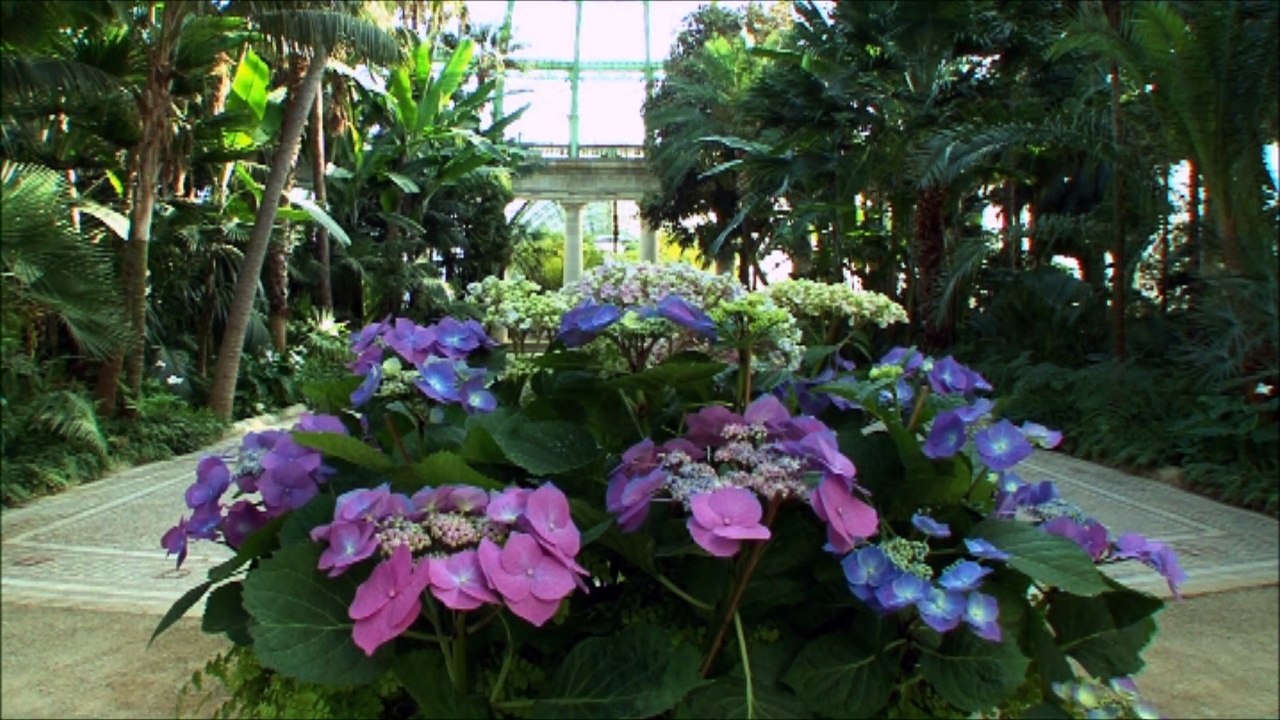 Documentaire sur les Serres Royales de Laeken Part 1