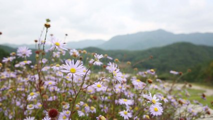 [영상] 가을 여행을 떠나요 / YTN