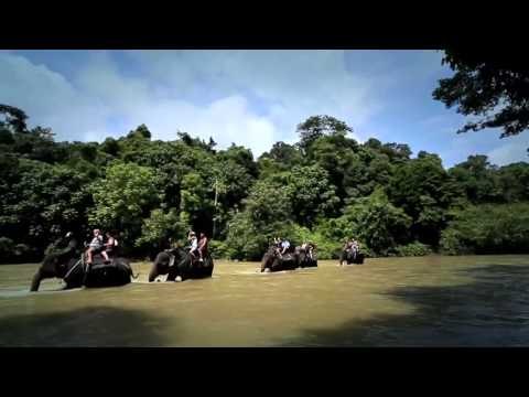 Bisnis Travel Murah - IMS