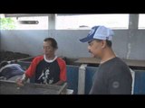 Cinta Bumi Suharto Setiyo - NET5