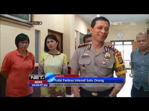 Polisi Tetapkan 4 Orang Masuk Daftar Pencarian Orang Terkait Penemuan Ganja di Unas -NET12