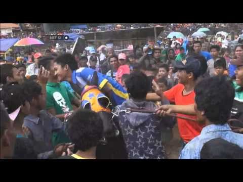 Ratusan Kusir Delman Ikuti Lomba Pacu Kuda di Garut -NET12