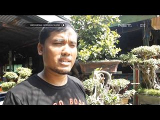 IMS - Buah andaliman dijadikan jus dengan rasa nikmat dan segar