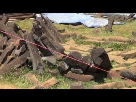 Pemeriksaan Lutung Jawa Sebelum Dilepaskan ke Habitat Liar -NET17