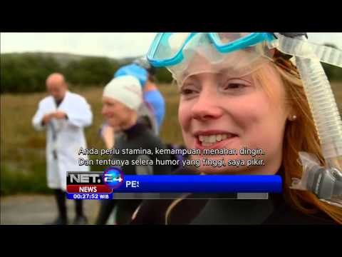 Snorkeling rawa yang penuh lumpur - NET24