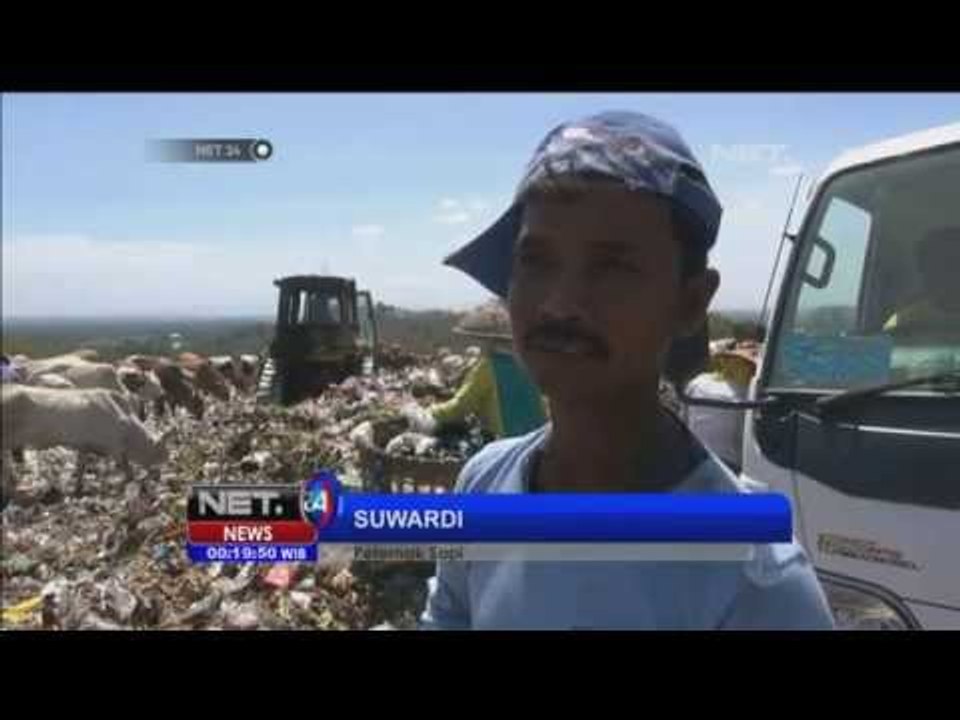 Sapi asal Piyungan Bantul tidak layak konsumsi...