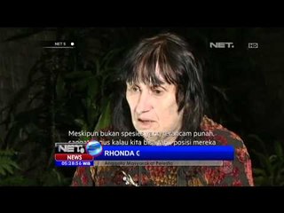 Pelestarian Tupai terbang - NET5