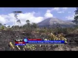 Kebakaran Lahan di Gunung Guntur Disebabkan Faktor Alam dan Manusia -NET12