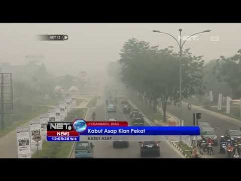 Kondisi Udara Riau Berada di Level Berbahaya karena Kabut Asap -NET12