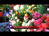 Penjualan bunga hias meningkat setiap akhir pekan - NET12