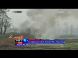 Pembakaran Lahan di Samarinda untuk Dijadikan Lahan Perkebunan -NET24